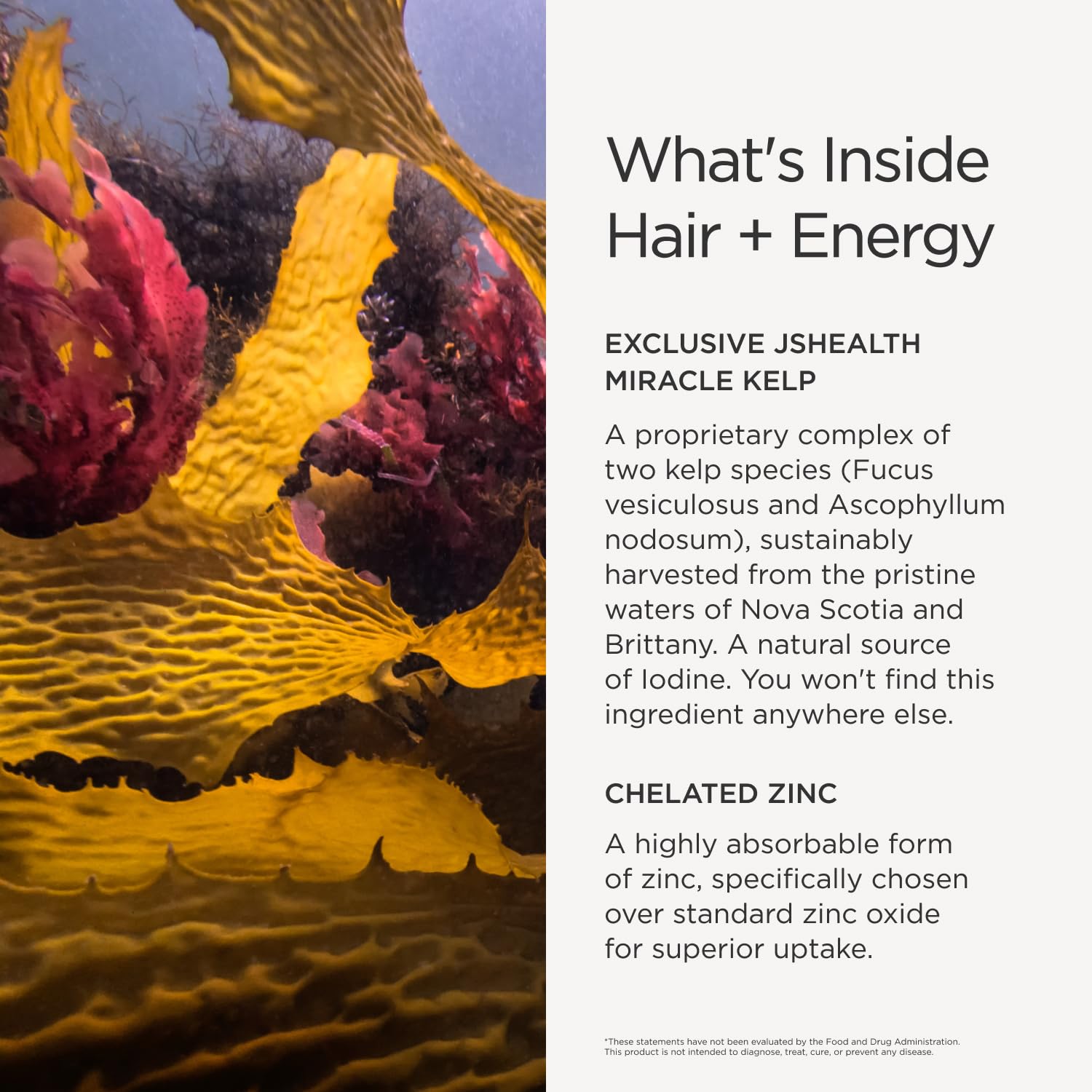 JSHealth Hair Growth Vitamins 50g packaging