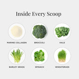 JSHealth Marine Collagen Powder scoop with powder