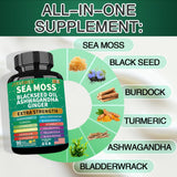 JTEVEweu Sea Moss Black Seed Oil Capsules close-up of capsules