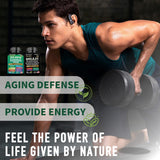 JTEVEweu Sea Moss Capsules back view with dosage information