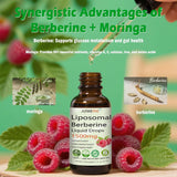 JUIWEFKK Liposomal Berberine & Moringa Drops packaging