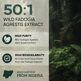 Jungle Powders Fadogia Agrestis Powder in a clear bowl