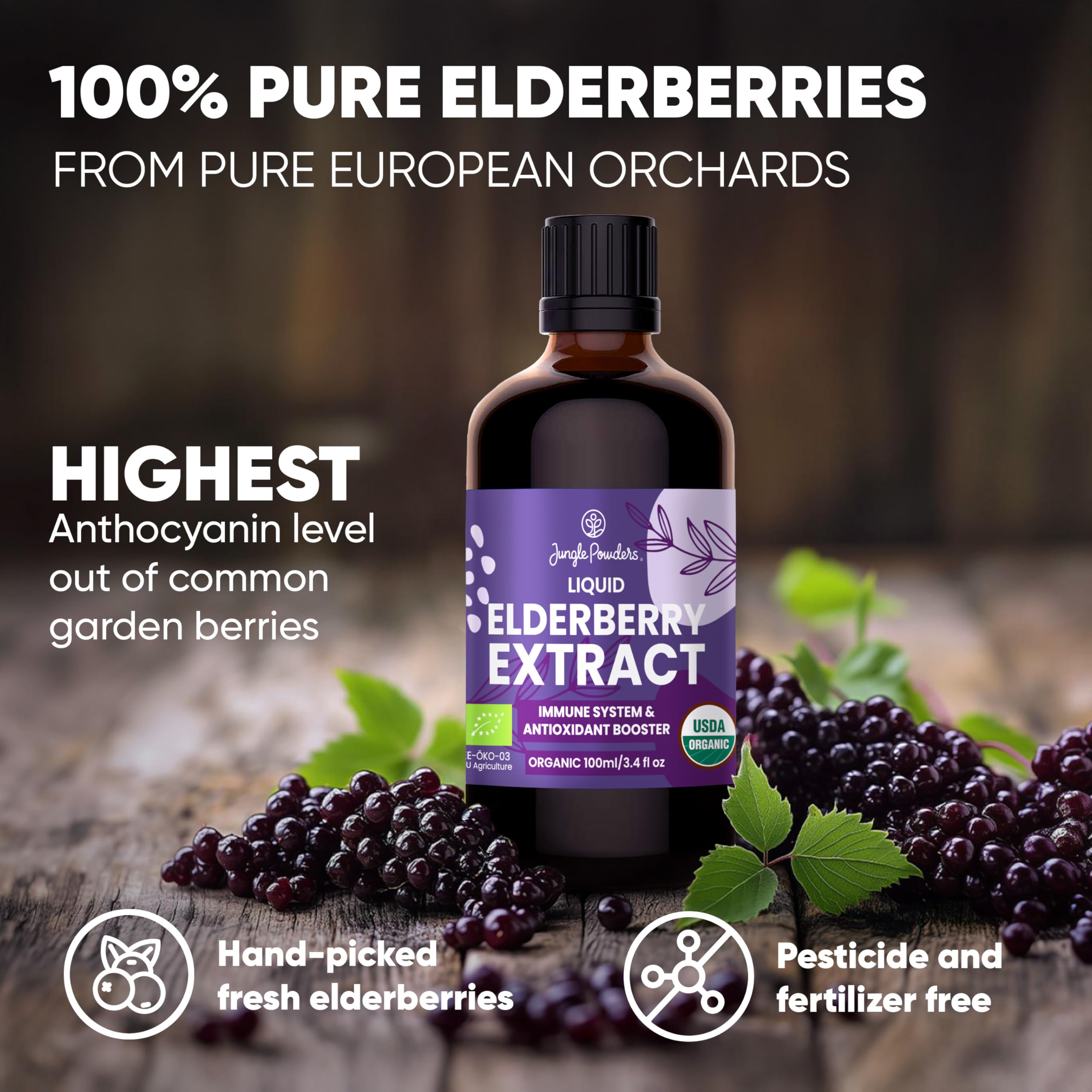 Jungle Powders Organic Black Elderberry Syrup in a natural setting