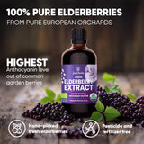Jungle Powders Organic Black Elderberry Syrup in a natural setting