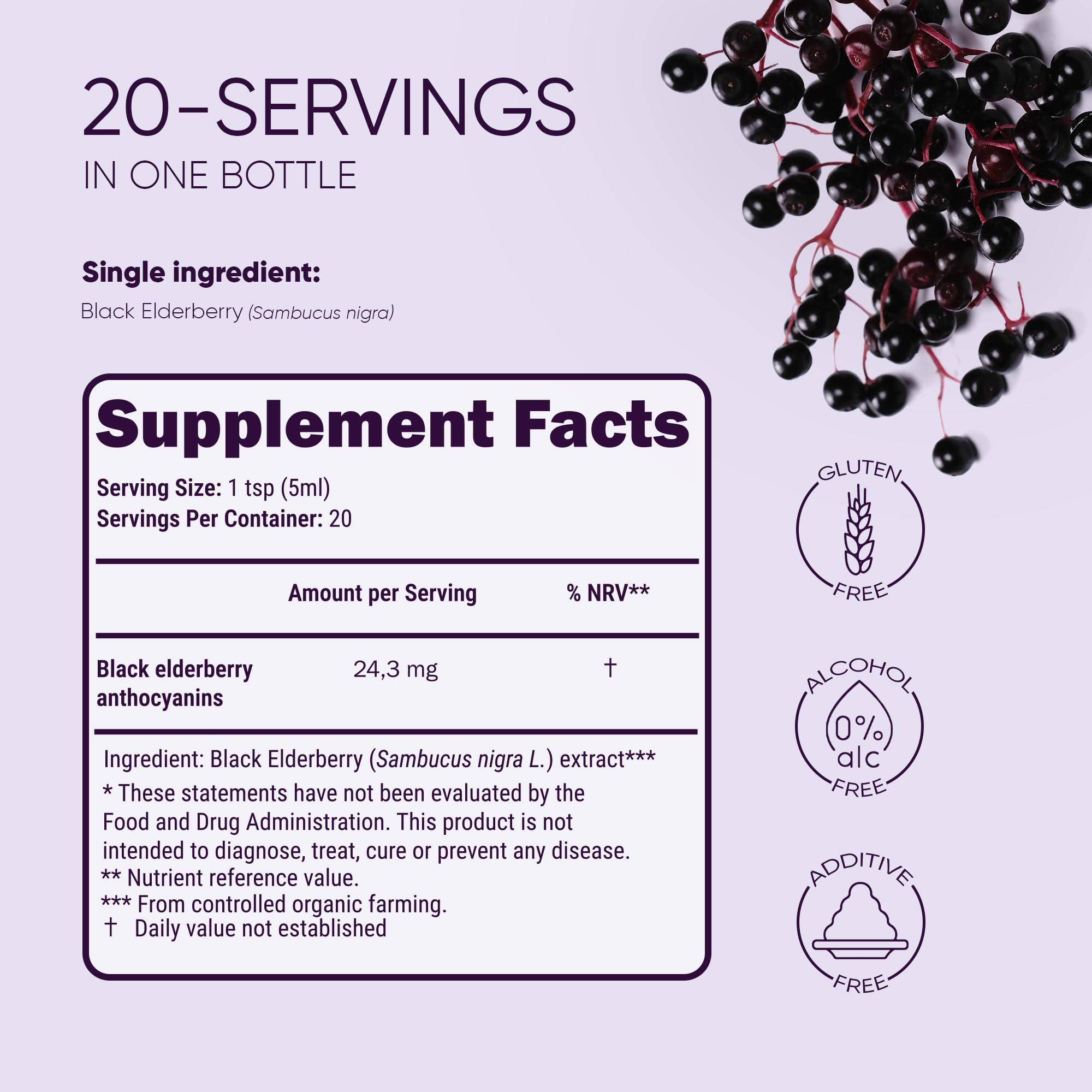 Jungle Powders Organic Black Elderberry Syrup packaging details