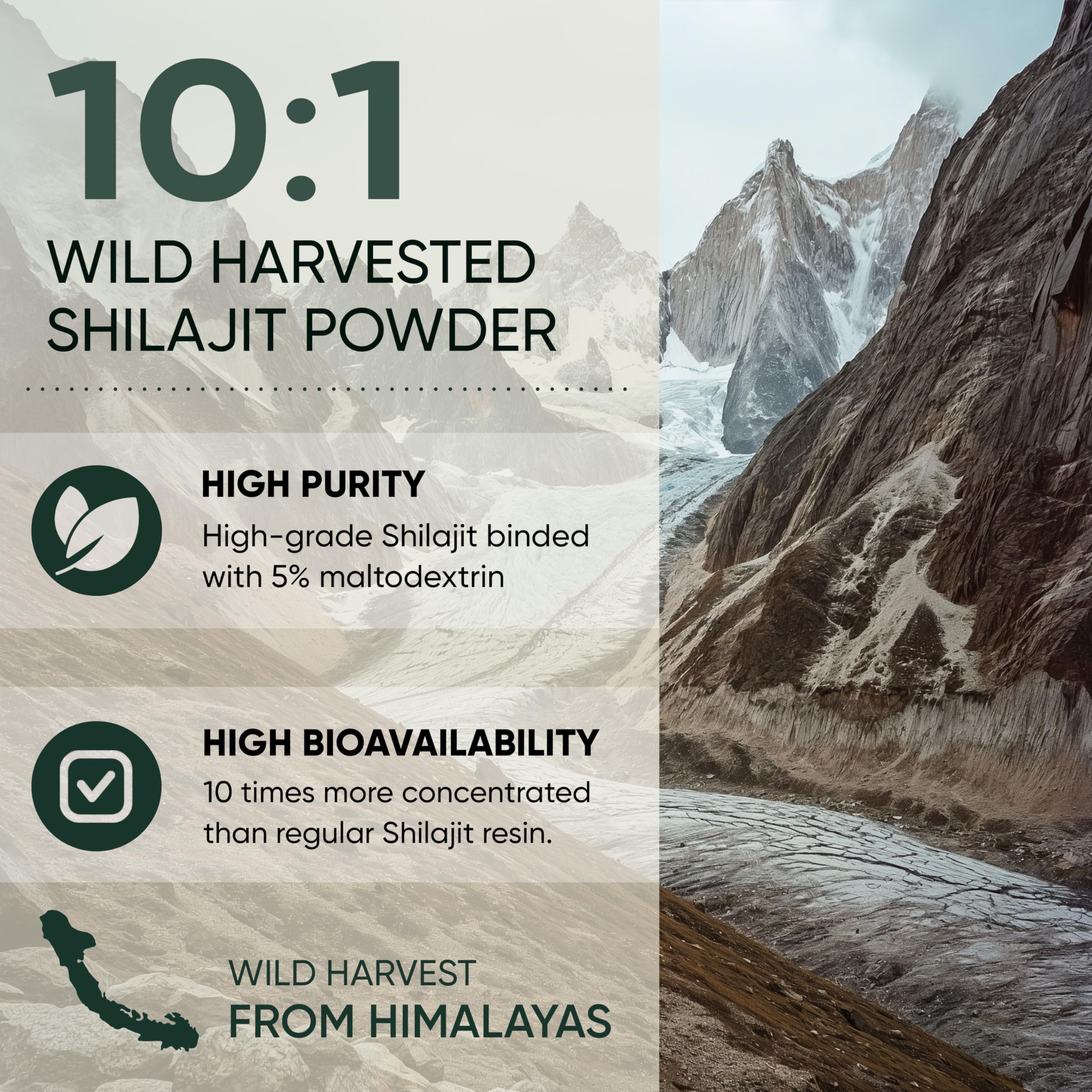 Jungle Powders Shilajit Powder 159g back view
