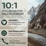 Jungle Powders Shilajit Powder 159g back view