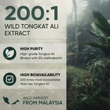 Jungle Powders Tongkat Ali Extract Powder mixed in a drink