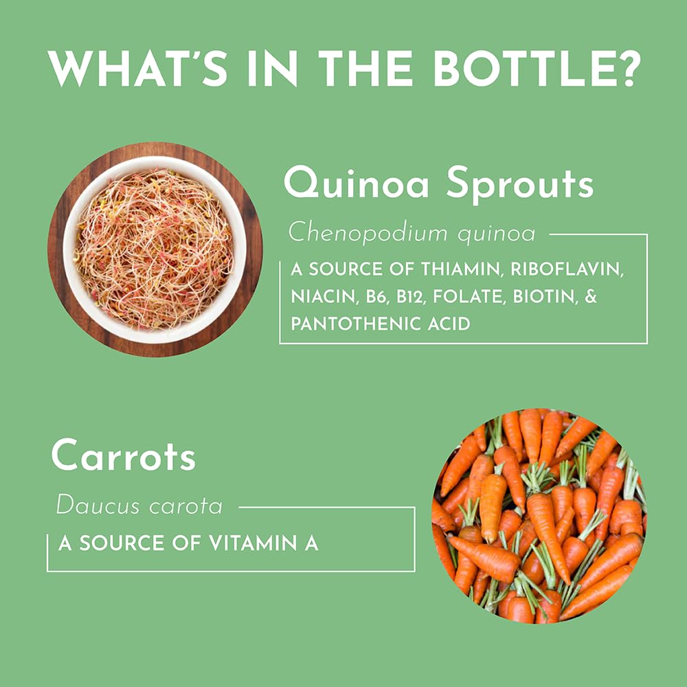 JUST INGREDIENTS Daily Multivitamin Supplement ingredients close-up