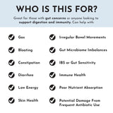 JUST INGREDIENTS Probiotic Supplement in a hand