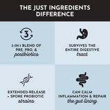 JUST INGREDIENTS Probiotic Supplement on a kitchen counter