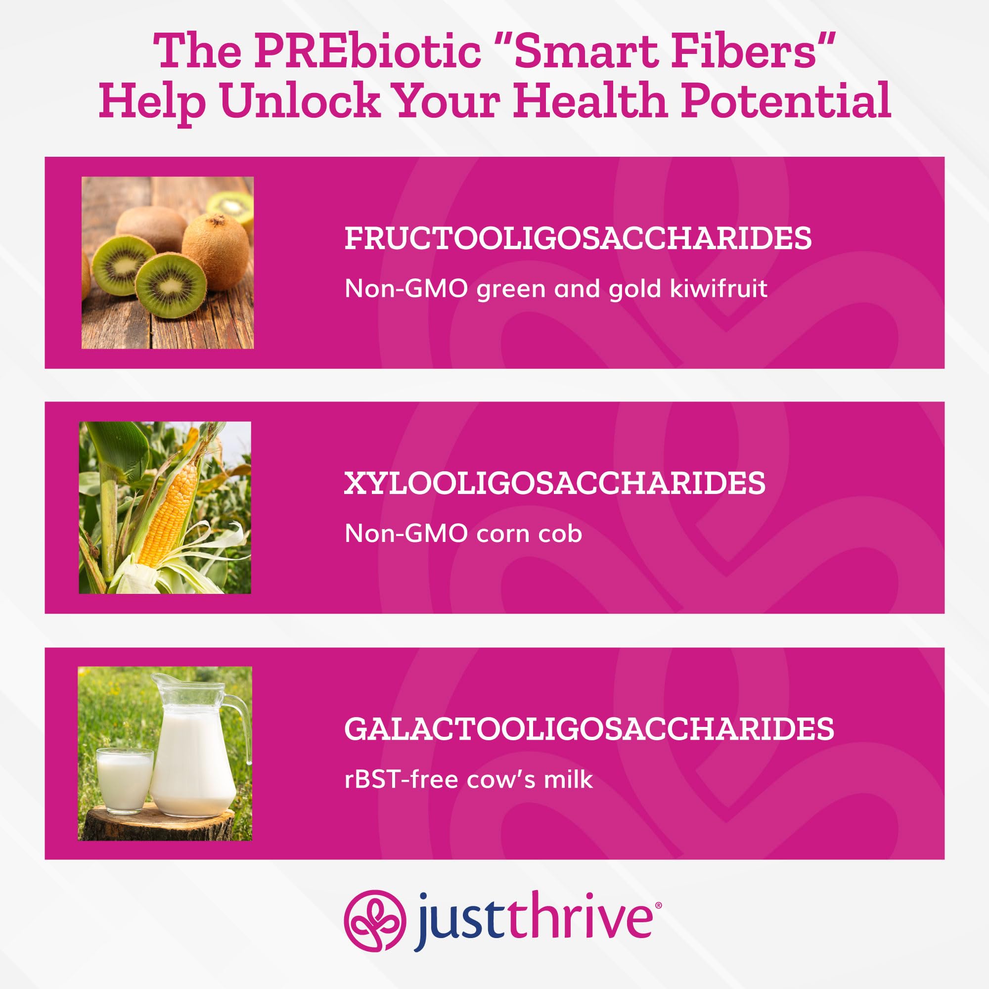 Just Thrive PREbiotic Powder 150g back view