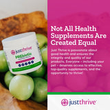 Just Thrive PREbiotic Powder 150g close-up