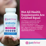 Just Thrive Probiotic Capsules lifestyle scene on kitchen counter