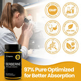 K2 Organics Berberine HCL 1200mg + Ceylon Cinnamon capsules with measuring spoon