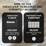 Kaged Creatine Powder 630g packaging on a kitchen counter