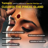 Kailash Herbals Haritaki Pineal Gland Support Capsules close-up