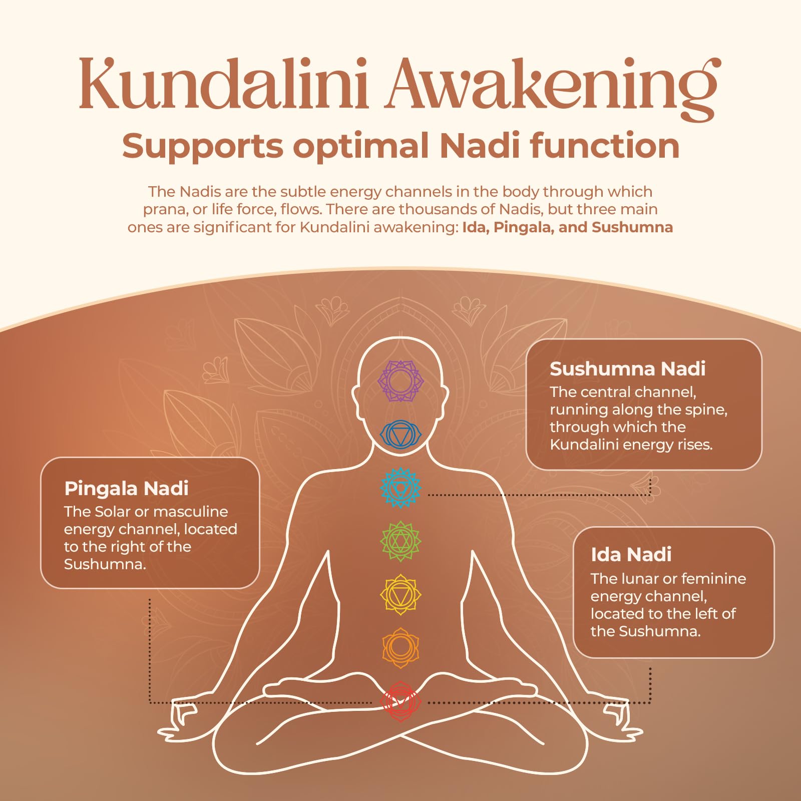 Kailash Herbals Kundalini Awakening Herbal Supplement packaging