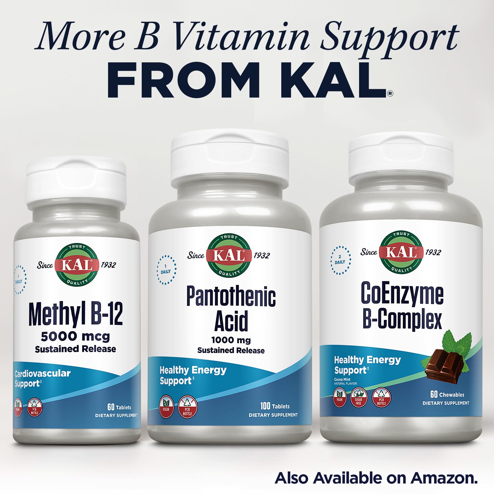 KAL Pantothenic Acid Supplement 1000mg with measuring spoon
