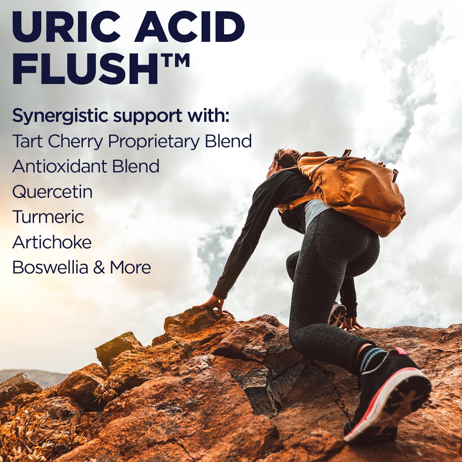 KAL Uric Acid Support Supplement 91g capsule close-up