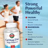 KAL Zinc Supplement 198g back view with ingredient list