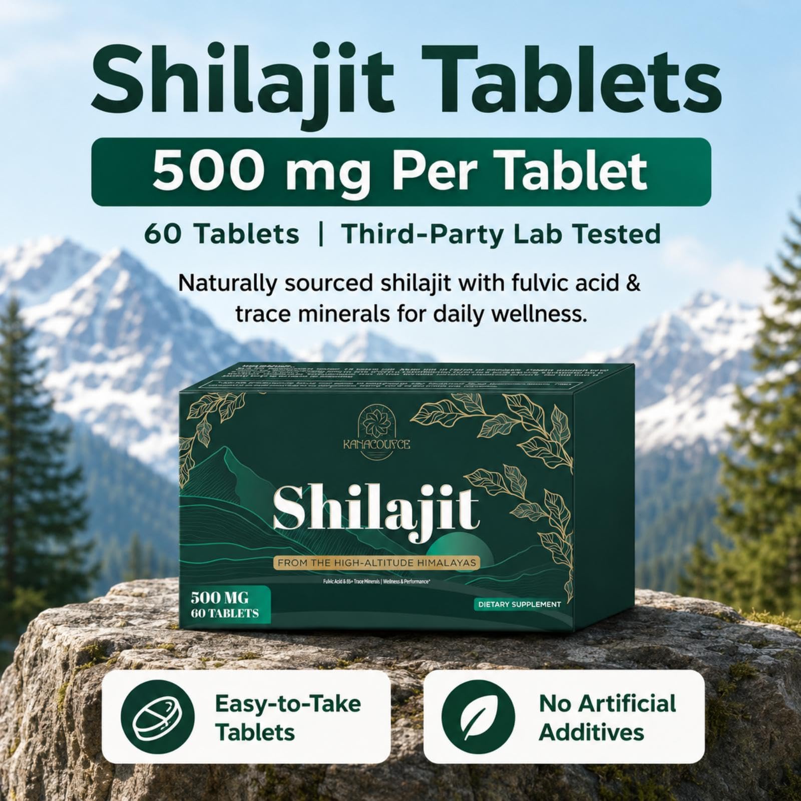 Kanacoufce Shilajit Tablets 500mg close-up of tablets