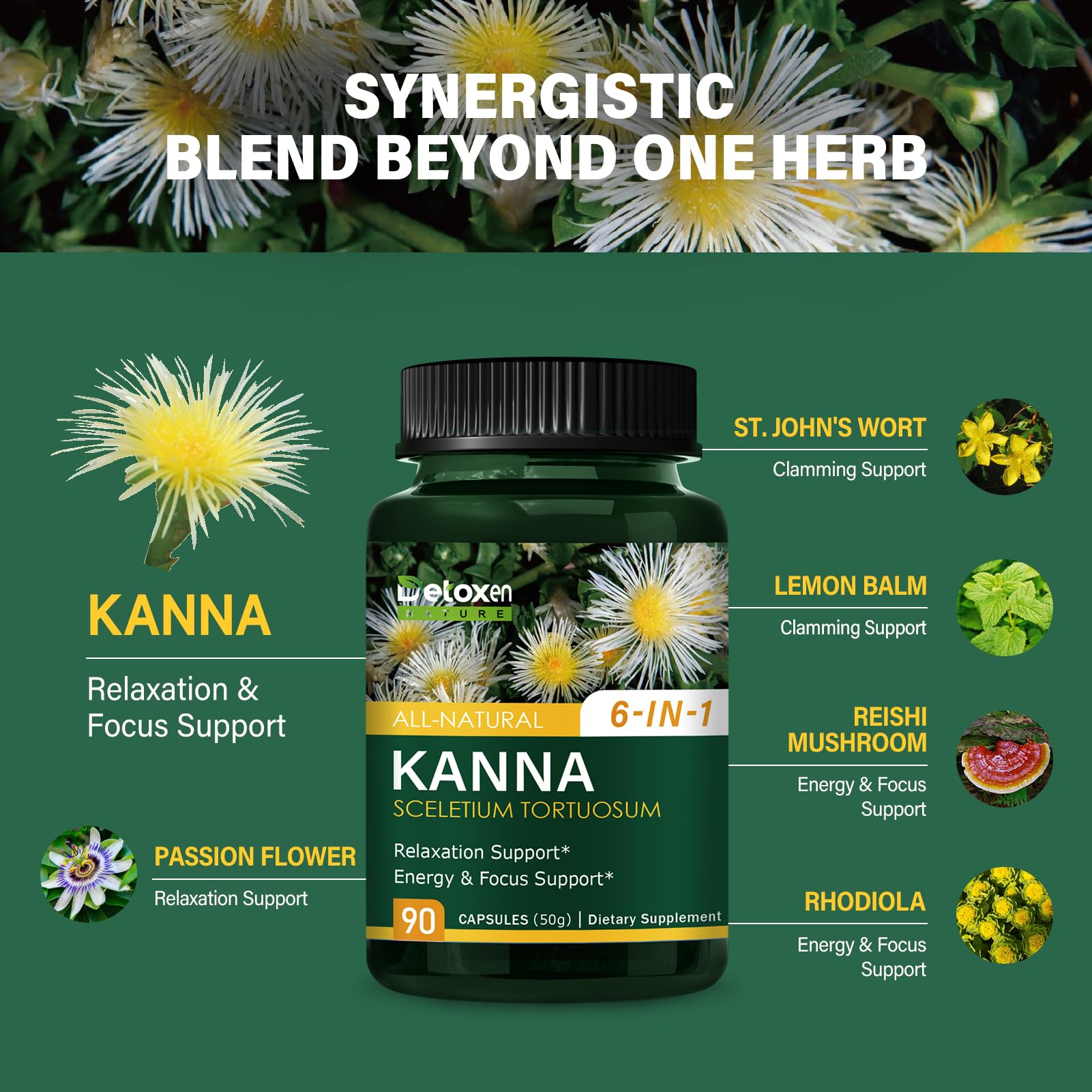 Kanna 6-in-1 Herbal Supplement Capsules with dosage instructions