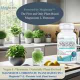 KAPPA NUTRITION Magnesium L-Threonate 420mg capsules in a natural setting