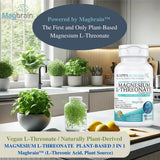 KAPPA NUTRITION Magnesium L-Threonate bottle with a natural background
