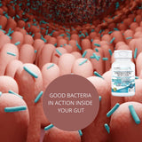 KAPPA NUTRITION Probiotic 60 Billion CFU with prebiotic blend on table