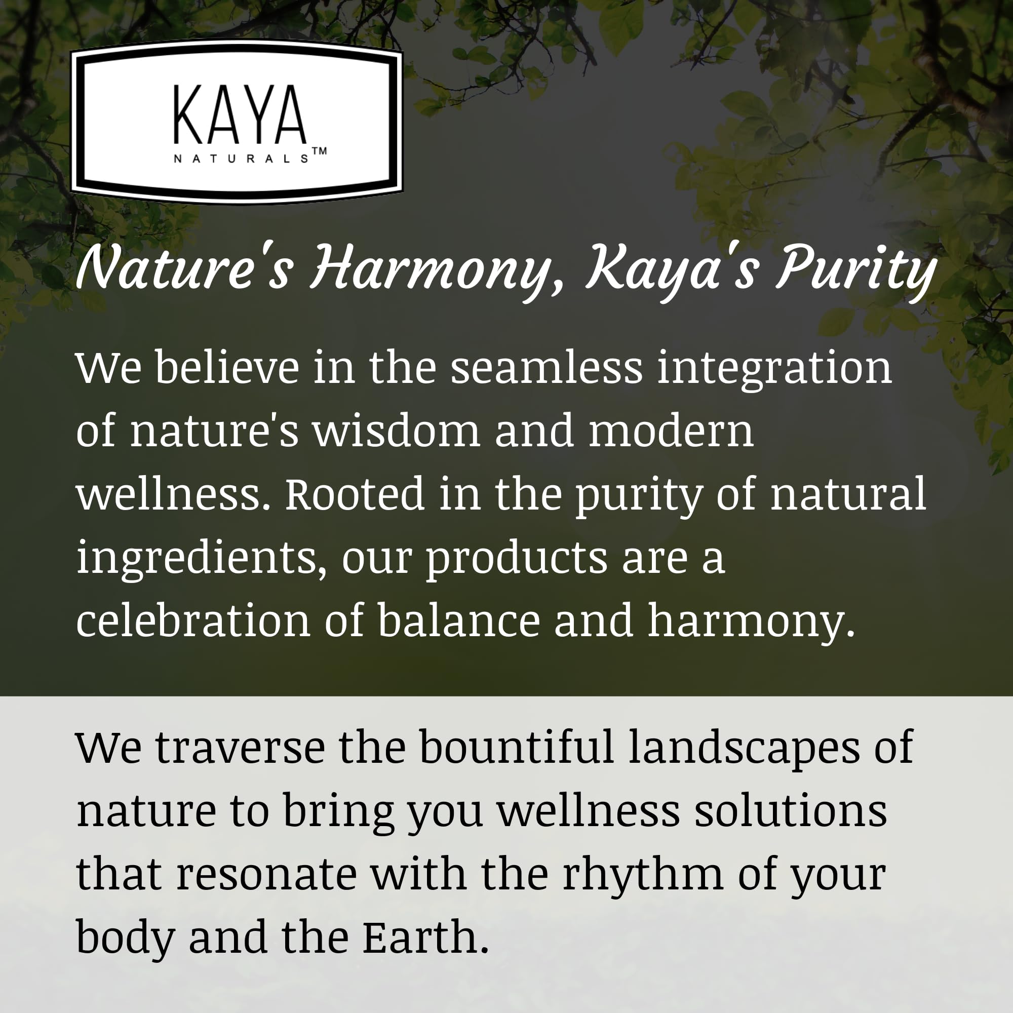 Kaya Naturals Ginkgo Biloba Capsules in a health setting