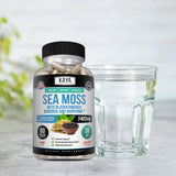 Kaya Naturals Sea Moss Supplement displayed with natural elements