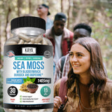 Kaya Naturals Sea Moss supplement with a measuring spoon