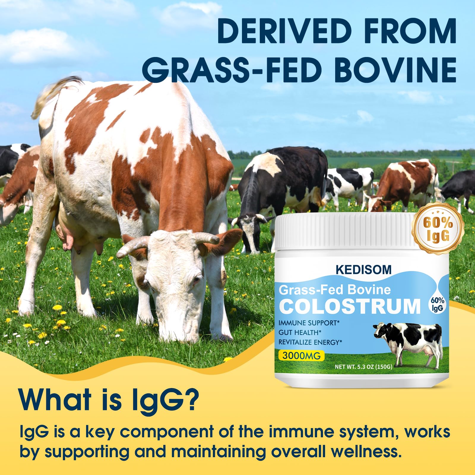 KEDISOM Bovine Colostrum Powder 240g nutritional information