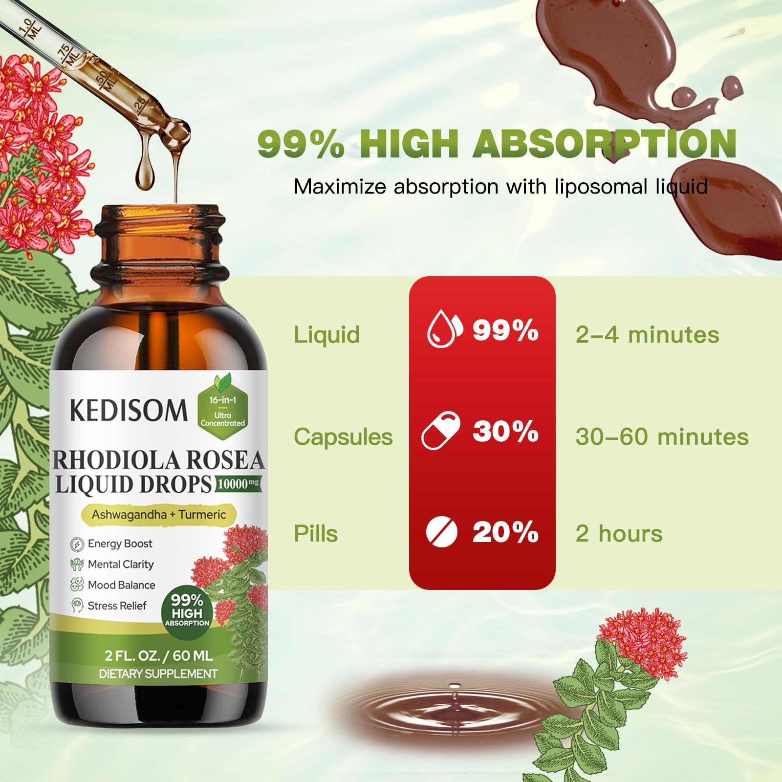 KEDISOM Rhodiola Rosea Tincture 10000MG back view