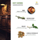 Kerala Ayurveda Dasamoolarishta 522g lifestyle scene