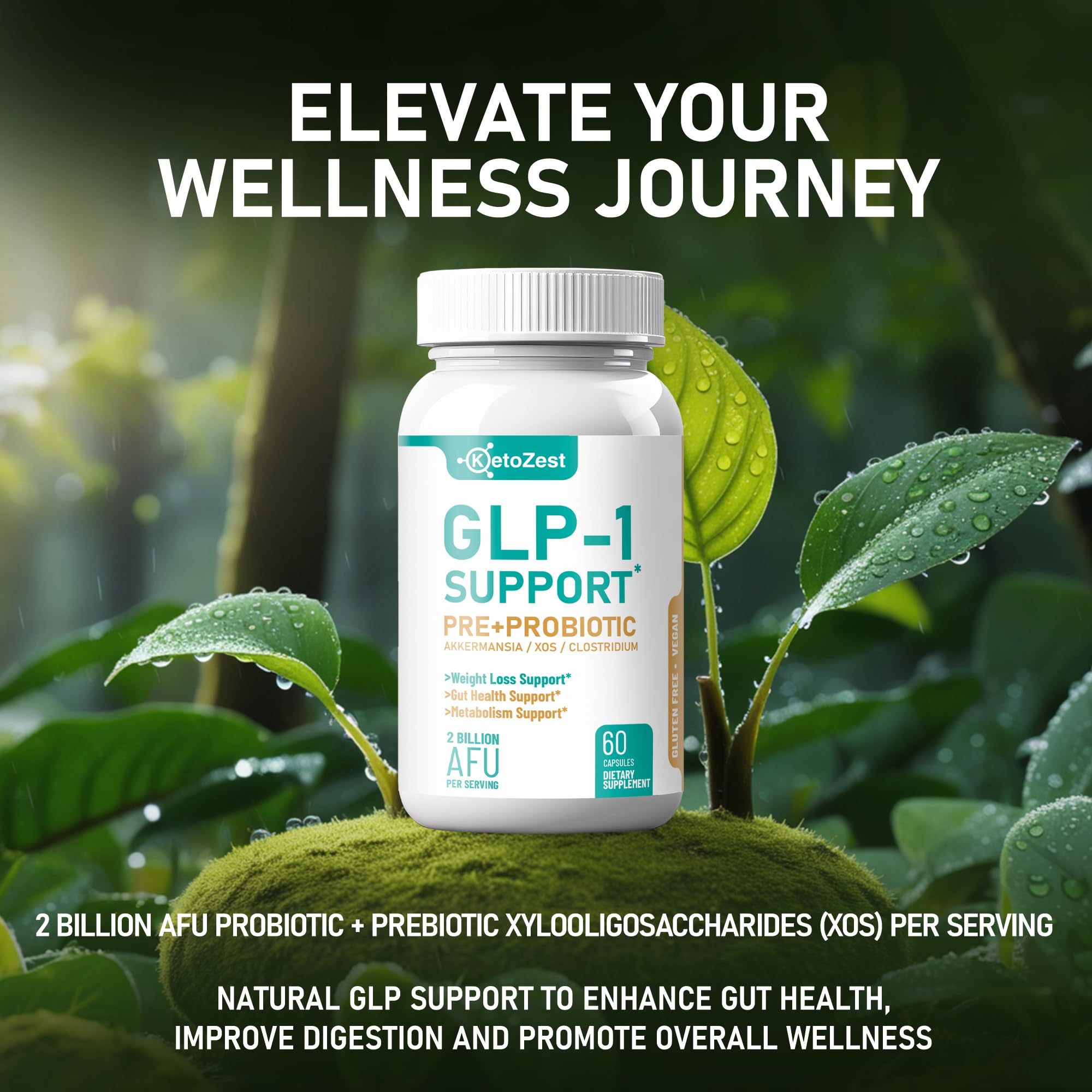 KetoZest GLP-1 Support Probiotic Supplement on a kitchen counter