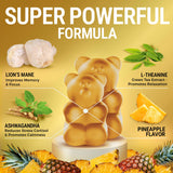 KEY ELEMENTS Lion’s Mane Mushroom Gummies in a bowl