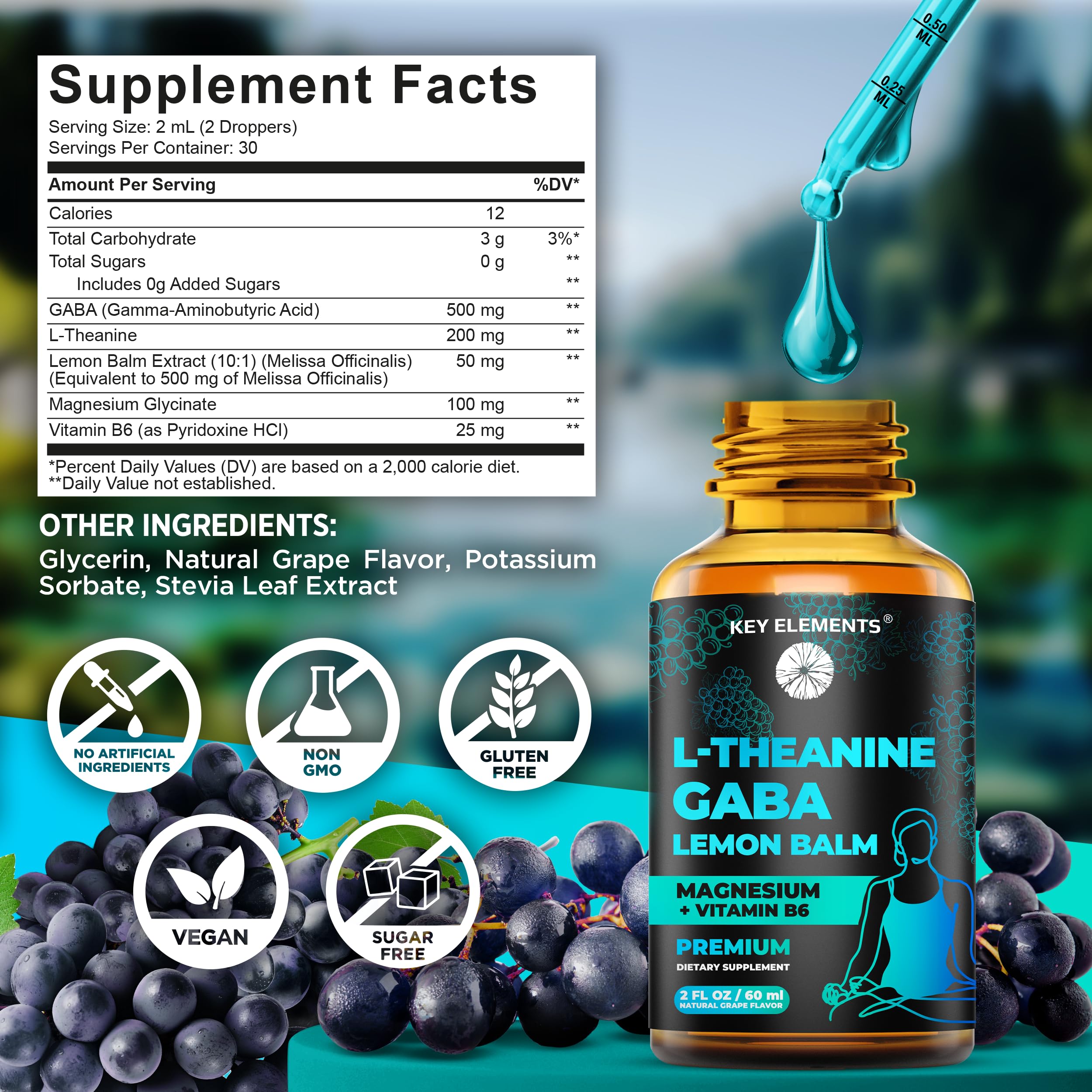 KEY ELEMENTS Liquid GABA Sleep Supplement ingredients list