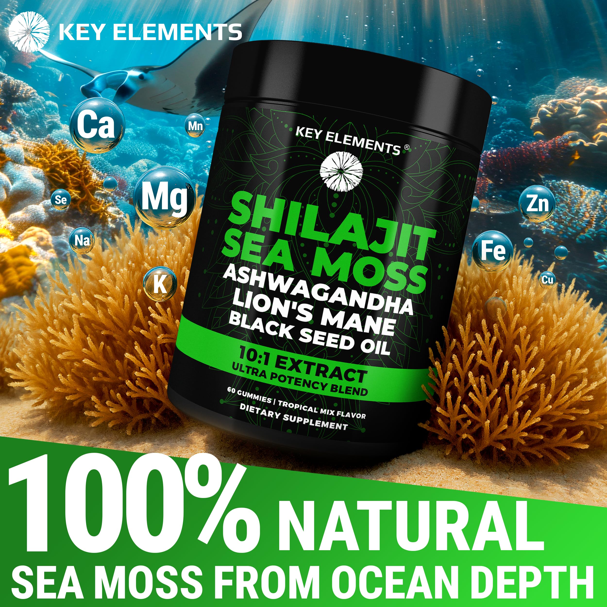 KEY ELEMENTS Shilajit gummies nutritional information