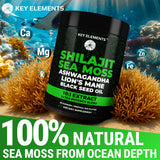 KEY ELEMENTS Shilajit gummies nutritional information