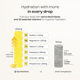 KEY NUTRIENTS Lemonade Electrolyte Powder ingredients list