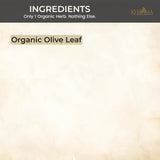 Khroma Olive Leaf Extract glass bottle side view