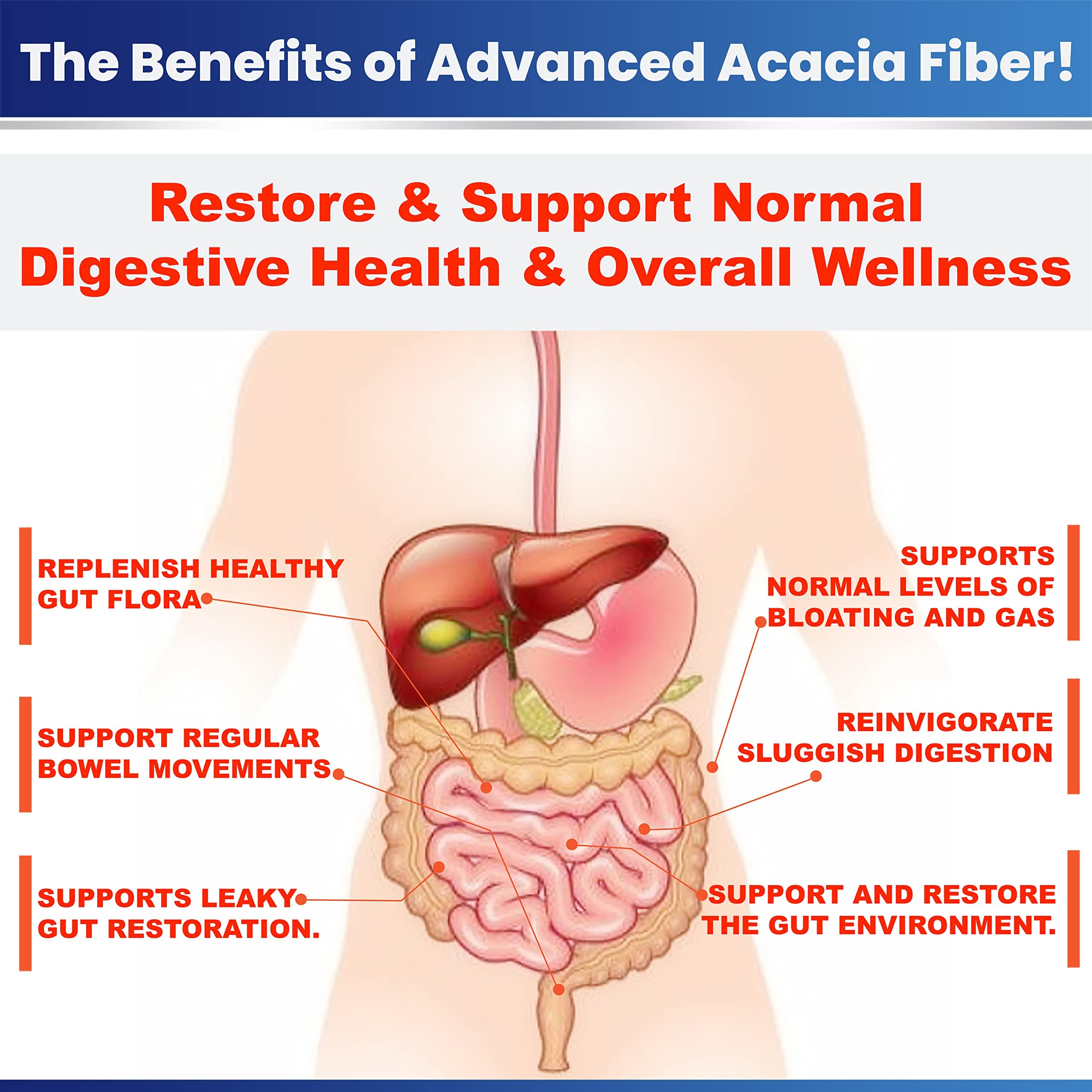 Kidney Restore Advanced Fibre Supplement Powder with lifestyle background