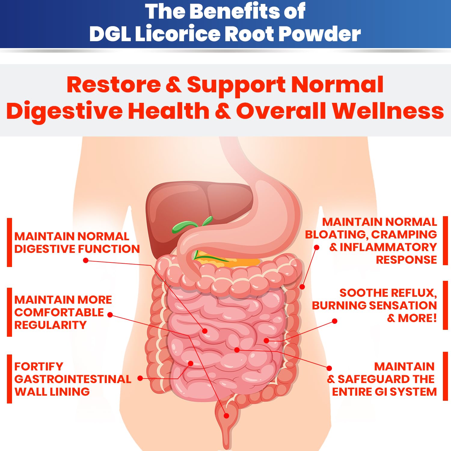 Kidney Restore DGL Licorice Root Powder 120g nutritional information