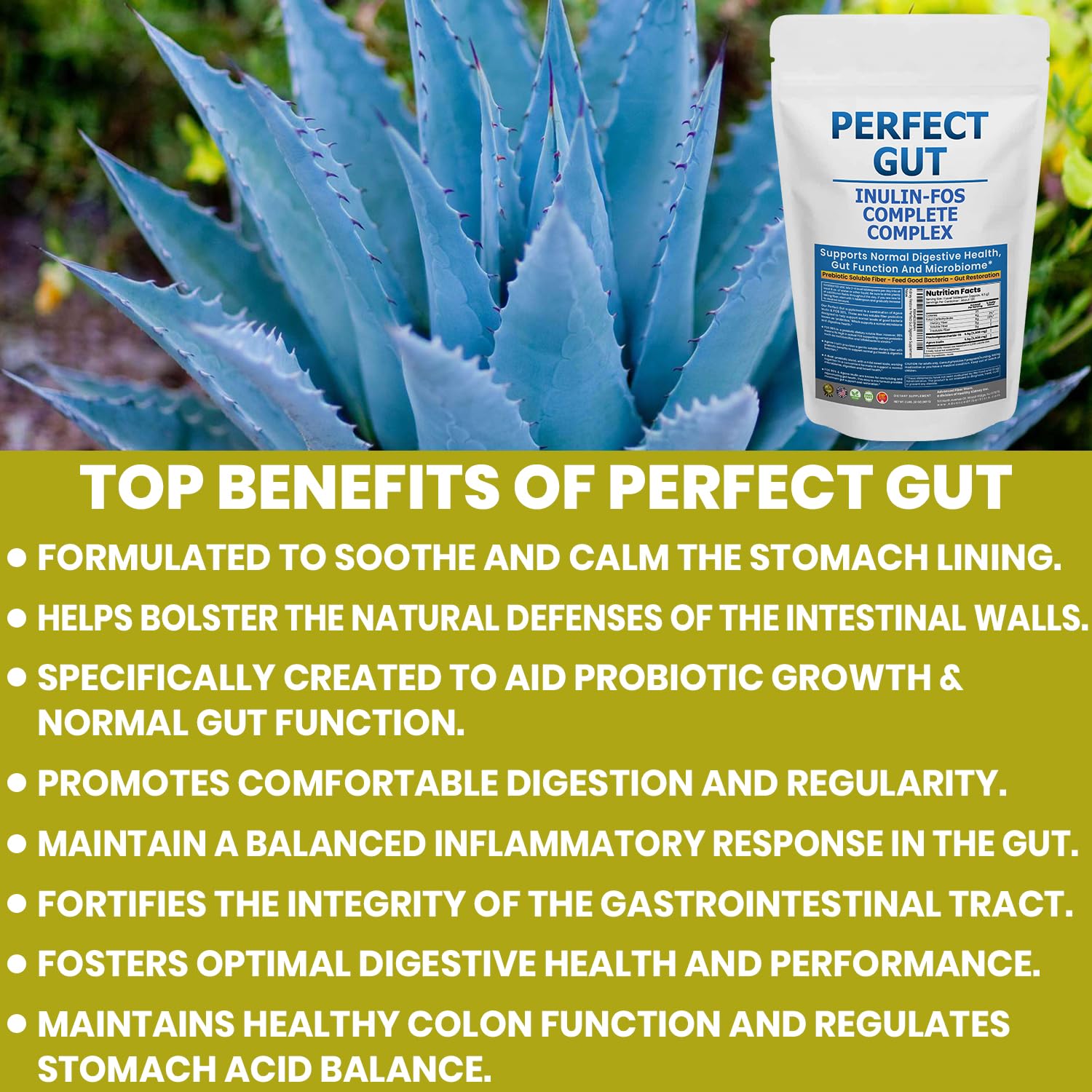 Kidney Restore Perfect Gut Inulin FOS Supplement back view with nutritional information