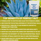 Kidney Restore Perfect Gut Inulin FOS Supplement back view with nutritional information