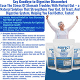 Kidney Restore Perfect Gut Inulin FOS Supplement with smoothie ingredients