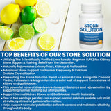 Kidney Restore Stone Solution user guide included