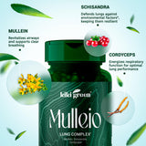 KIKI Green Mullein Leaf Capsules with fresh Mullein leaves
